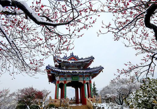 南京梅花山雪景