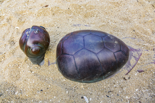 海龟造型