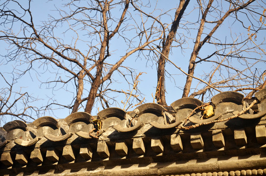 北京老城区胡同建筑屋檐