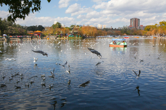 昆明翠湖旅游