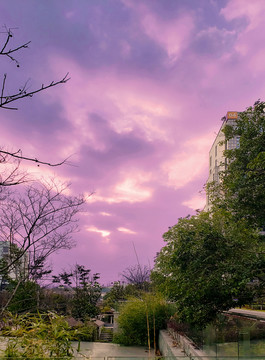 朝霞下的园区小花园