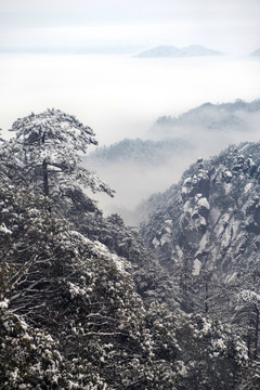 黄山冬景