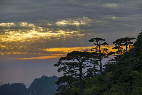 黄山冬景