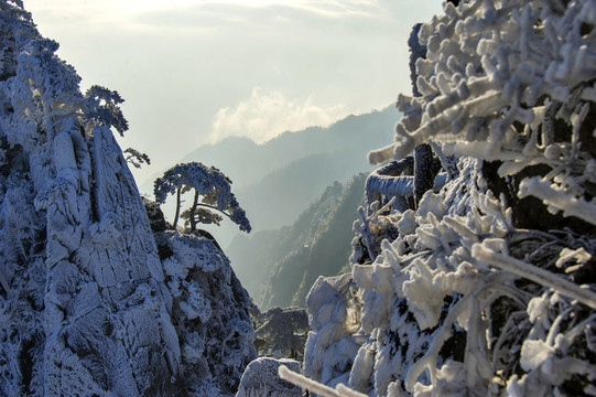 黄山冬景