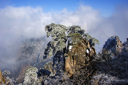 黄山冬景