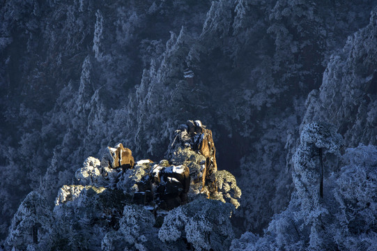 黄山冬景