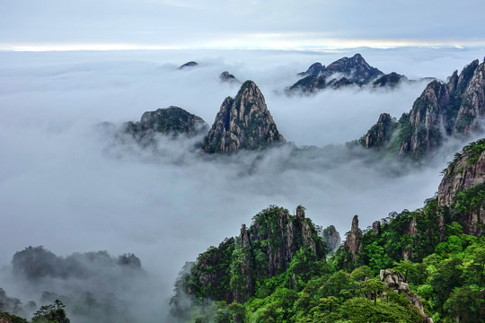 黄山冬景