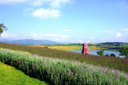 东风韵景区