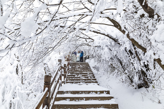 香炉山雪景