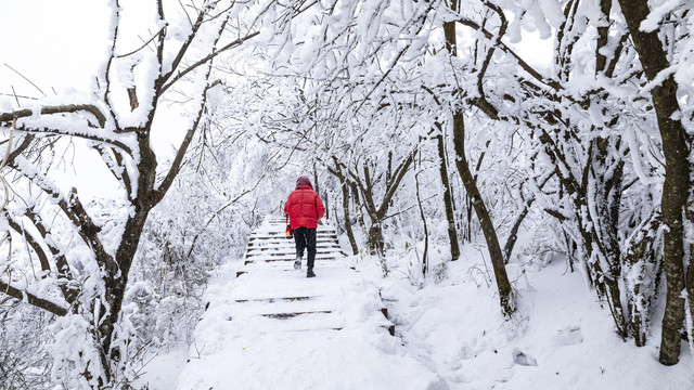 香炉山雪景