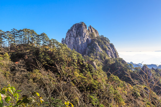 黄山自然风景