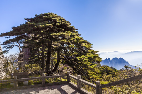 安徽黄山风光