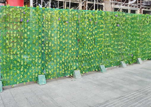 建筑工地绿植墙