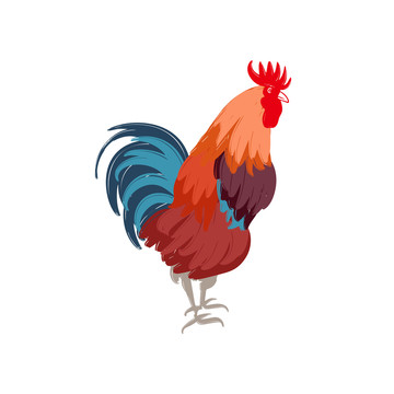 鸡肖像创意设计插图