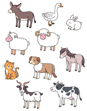 各种动物插图集合