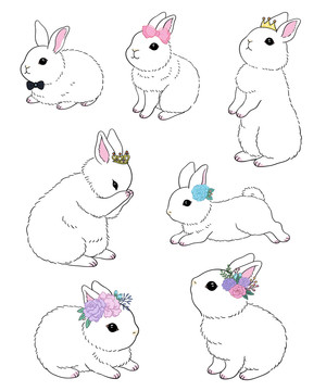 兔子各种动作插图素材
