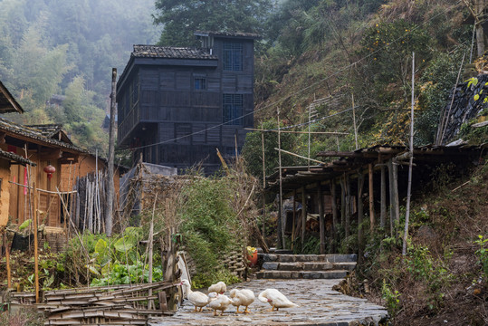 福建长汀丁屋岭古村落