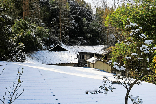 农村屋顶雪景