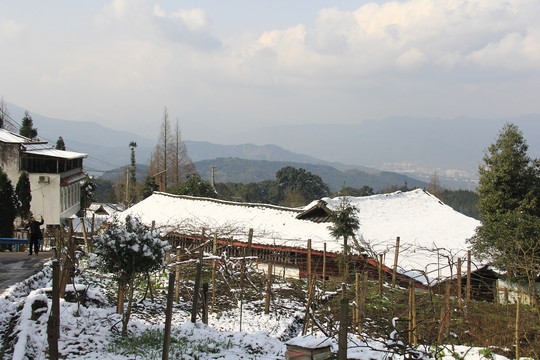 农村屋顶雪景