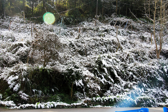 山地雪景