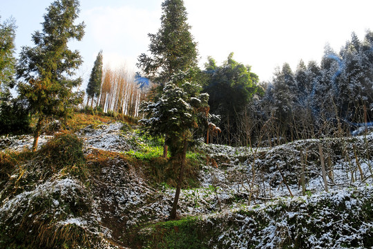 山地雪景