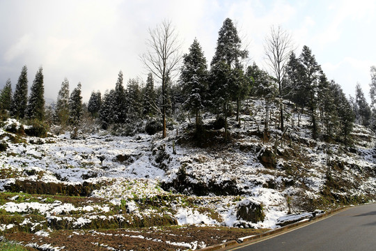 山地雪景