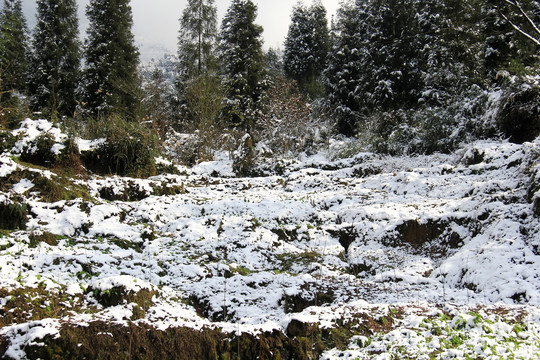 山地雪景