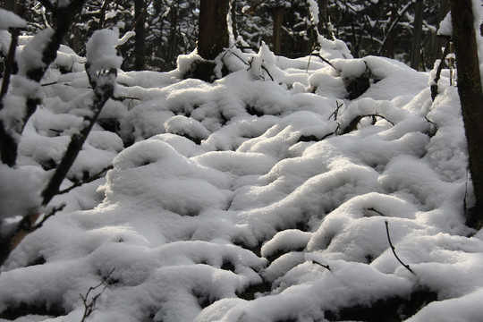 山地雪景