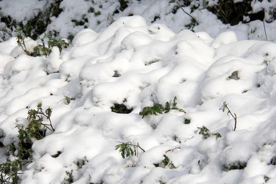 山地雪景