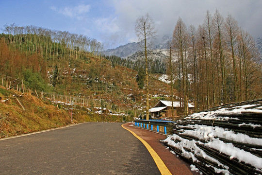 乡村民居雪景