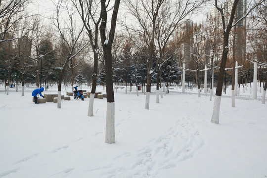 冬季雪景