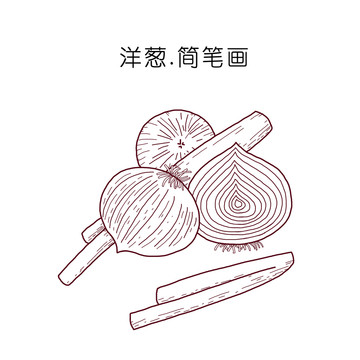 洋葱简笔画