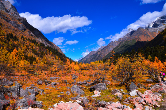 毕棚沟风景