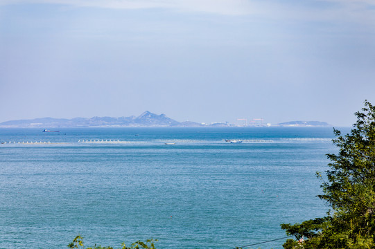 青岛崂山海滨山林植被