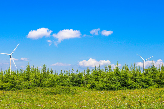 草原风力发电机