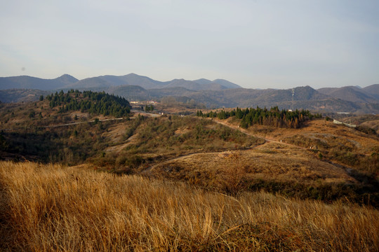 秋天的荒山野岭