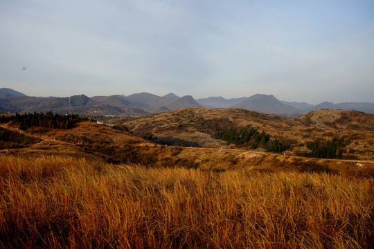 秋天的荒山野岭