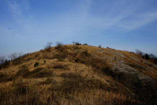 秋天的荒山野岭