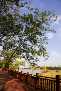 广元湿地公园秋景