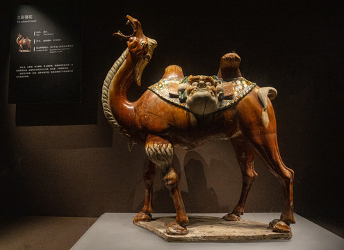 三彩骆驼洛阳博物馆
