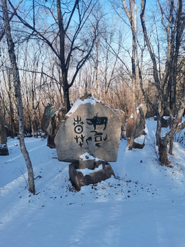 雪景