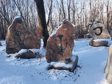 甲骨文百家姓