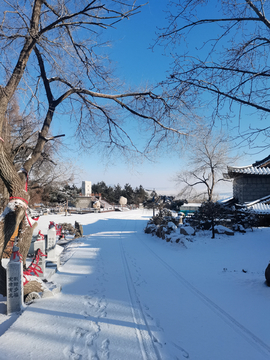 雪景