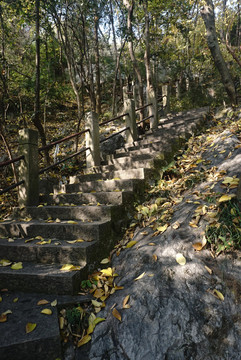 山间小路台阶