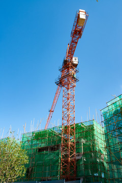 建筑工地和塔吊