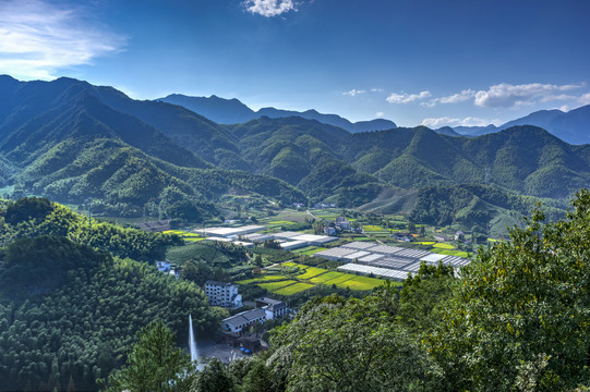 浙江武义大红岩油菜花田