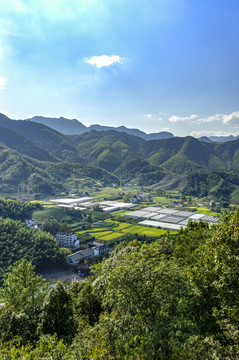 浙江武义大红岩油菜花田