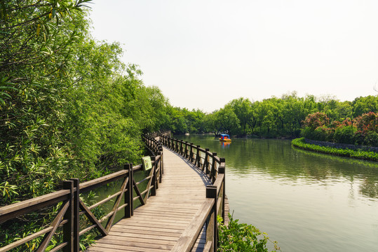上海炮台湾湿地公园