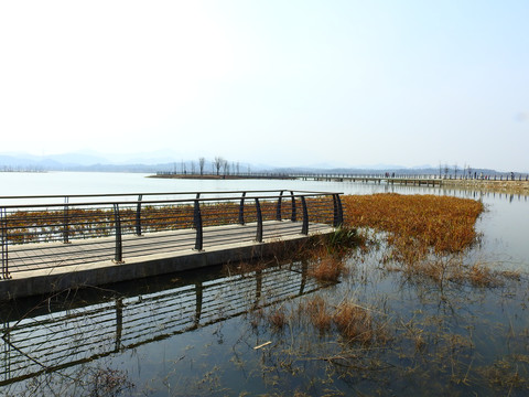 芳兰湖湿地公园水上栈道
