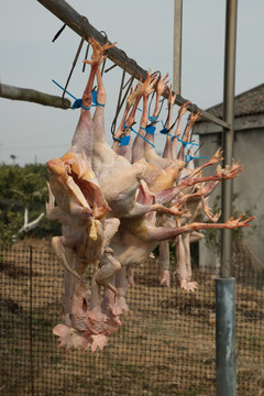 风干鸡